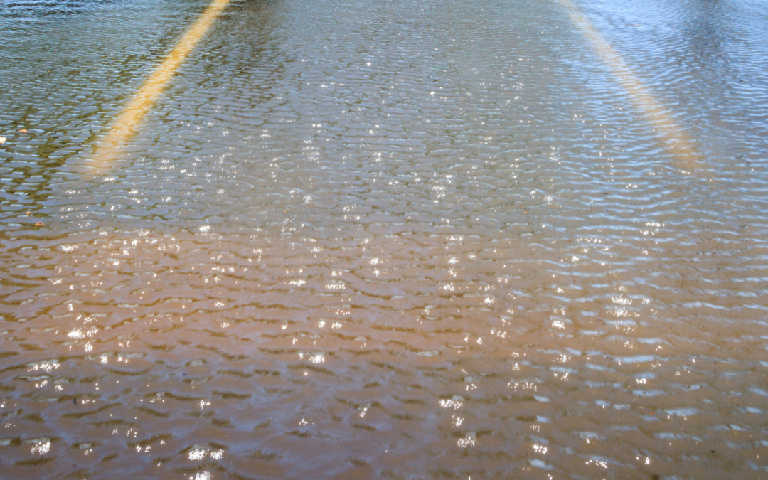 The Importance of Drainage in Parking Lots: Why Proper Management Matters