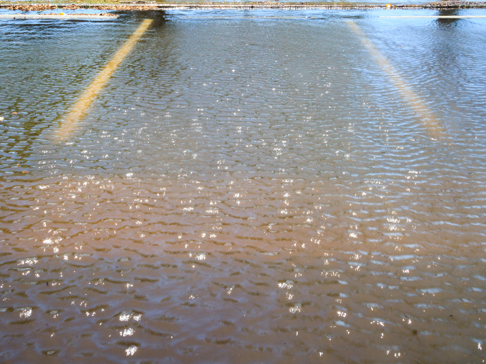 Rain Flooding Parking Lot